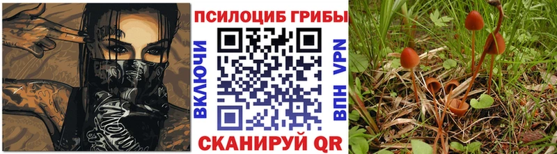 Псилоцибиновые грибы прущие грибы  Чаплыгин 