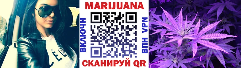 Шишки марихуана сатива  даркнет сайт  Чаплыгин 